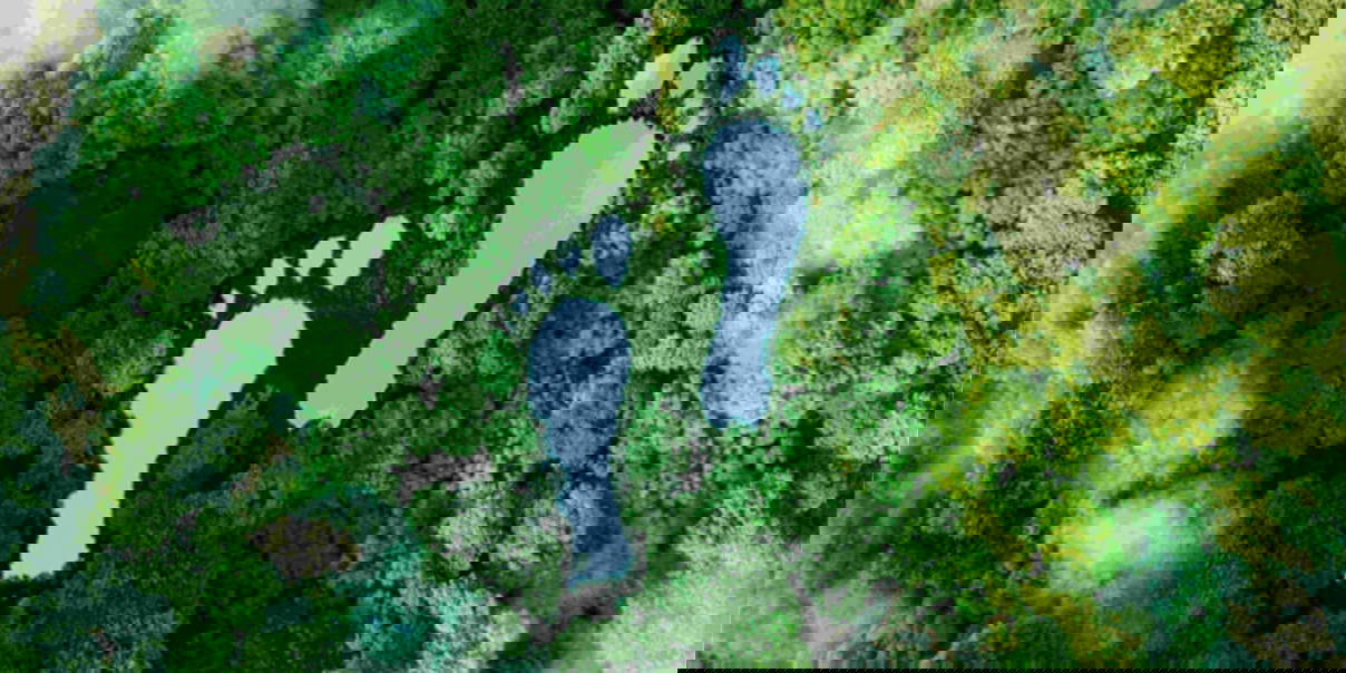 Aerial view of a forest with lakes forming the shape of two footprints.